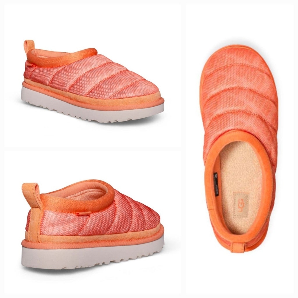 Tasman Lta Uggs - New Without Box/NWT